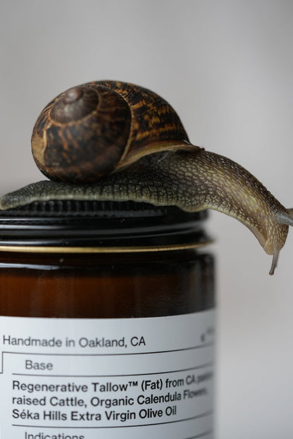 Pure Unscented Tallow Balm | Bestseller | All Skin-types